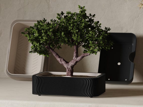 Japandi Suiban Self-Watering Bonsai Planter and Tray | Minimalist Decor | Customizable Sizes and Colors