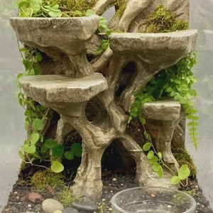 May include: A terrarium featuring a multi-level, light brown, tree-like structure with flat platforms for climbing. The base is covered in dark soil, small pebbles, and green moss. Lush green trailing vines and small leaves grow around the structure.