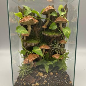May include: A glass terrarium with a miniature forest scene. It features faux mushrooms with brown and white spotted caps, green plants, and moss. The terrarium is rectangular in shape.