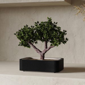 May include: A small bonsai tree with green leaves and a brown trunk is planted in a black rectangular pot. The pot has a wavy, textured design. The background is a neutral beige color.