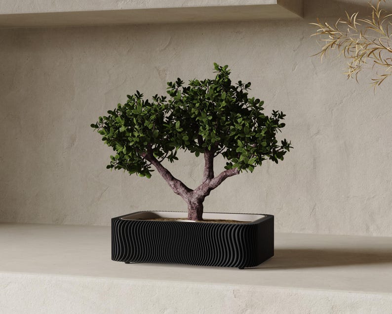 May include: A small bonsai tree with green leaves and a brown trunk is planted in a black rectangular pot. The pot has a wavy, textured design. The background is a neutral beige color.