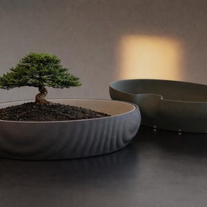 Japandi Stillwater Self-Watering Bonsai Planter | Minimalist Decor