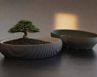Japandi Stillwater Self-Watering Bonsai Planter | Minimalist Decor