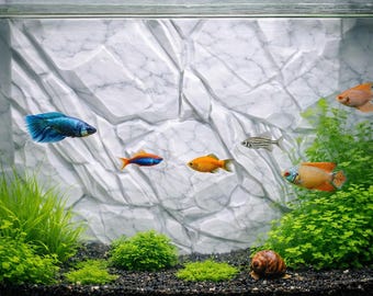 Mountain Rock Wall Aquarium Background Style IV | Terrarium Vivarium Backdrop | Reptile Climbing Wall | Color Options Glow-in-the-Dark