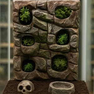 Op de afbeelding: Een terrarium met een stenen achtergrond met verschillende openingen met groene planten. Een schedel en een kleine kom staan op de basis. Het terrarium is ingesloten in een glazen behuizing, geschikt voor kleine dieren of planten.