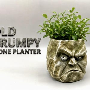 Old Grumpy Stone Planter | A Craggy Character for Your Plants