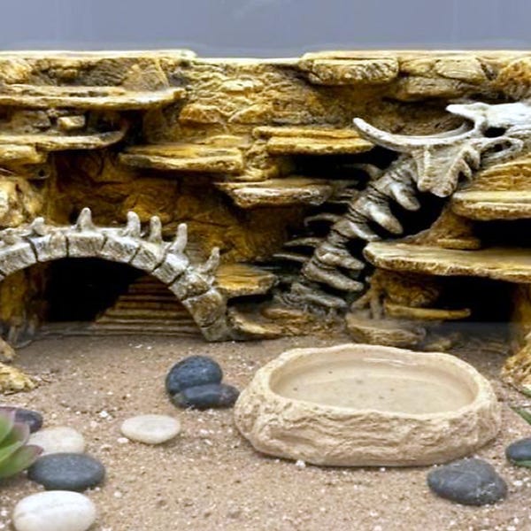 Dragon Fossil 3D Back Wall -XL- 46 x 22| Terrarium & Vivarium Decor | DnD, Wargaming Terrain | Custom Sizes and Glow/Color Options