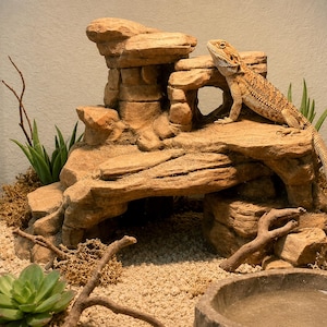 May include: A bearded dragon lizard is perched on a decorative rock formation within a terrarium. The habitat features artificial plants, sand substrate, and a water bowl. The lizard is tan and brown with a spiky appearance.