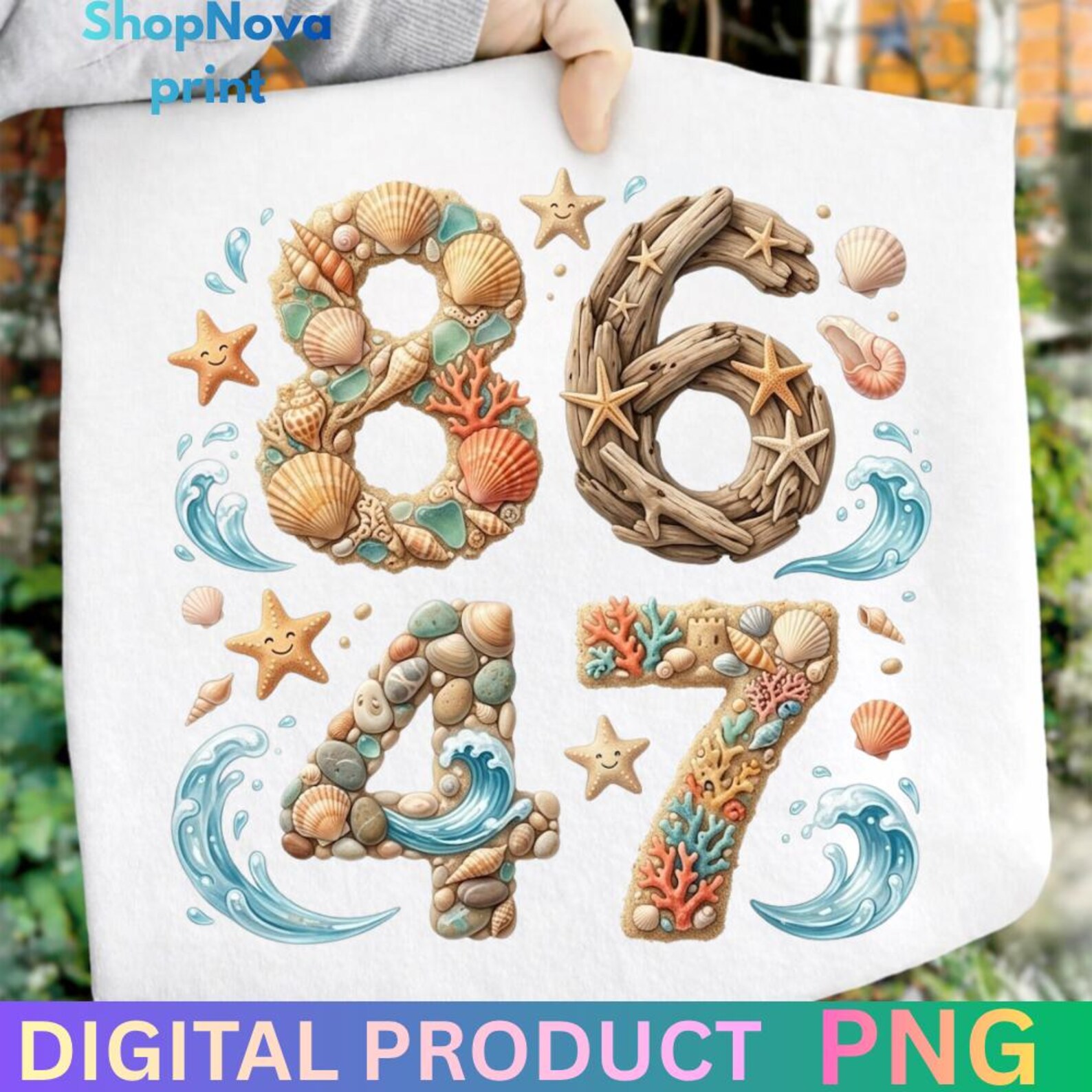 8647 Seashell PNG, Coastal Beach Numbers Design, Nautical Summer PNG ...