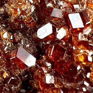 May include: A cluster of deep amber and reddish-brown garnet crystals featuring multifaceted, geometric shapes with a high-gloss, reflective surface. The mineral specimen displays a dense arrangement of translucent, angular stones with sharp edges.