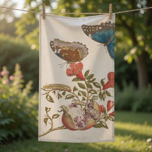 Vintage Maria Sibylla Merian Pomegranate Blue Morpho Butterflies Tea Towel - Surinam Botanical Illustration Kitchen Decor