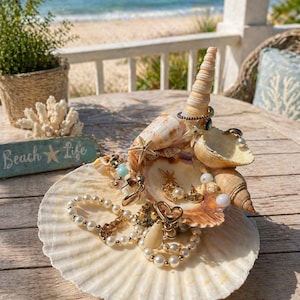 May include: A decorative seashell jewellery holder with various pieces of jewellery. The holder is a large, white scallop shell, adorned with smaller shells and a tall, spiral shell. Jewellery includes pearl necklaces, earrings, and bracelets. A small sign reads "Beach Life."