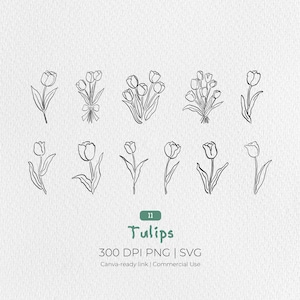 Nyckfull tulpan clipart SVG PNG | Handritad vårblomma bunt | Canva-klar | Kommersiell användning