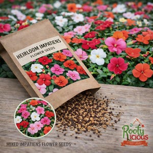 May include: A brown paper packet of "Heirloom Impatiens Flower Seeds" is open, spilling seeds onto a wooden surface. The packet features a colorful image of mixed impatiens flowers. A circular image of the flowers is also present. The background is filled with blooming impatiens.