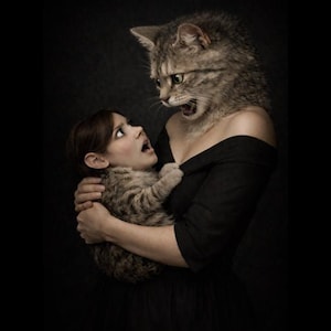 Surreal Cat Head Woman Human Face Kitten Shirt, Funny Weird Cat Tee, Animal Head Swap Graphic T-Shirt, Bizarre Surreal Art Gift