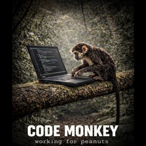 Camiseta Code Monkey: Humor de programador, regalo para ingeniero de software