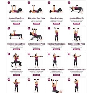 Pode incluir: Um cartaz instrutivo branco intitulado Dumbbell Chest & Shoulder Exercise Chart apresentando 16 ilustrações numeradas de uma pessoa realizando vários exercícios com halteres, incluindo supinos e elevações com texto.