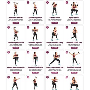 May include: A white Dumbbell HIIT & Cardio Exercise Chart featuring 16 numbered illustrations of a person performing various dumbbell movements. Each section includes the exercise name, descriptive instructions, and recommended repetition counts.