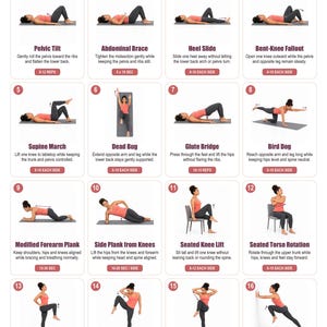 May include: An instructional poster titled Core Exercises for Beginners featuring 16 numbered illustrations of physical movements. Each panel displays a person in athletic wear performing a specific exercise with text instructions and repetition counts.