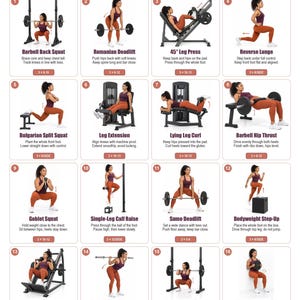 Op de afbeelding: Een trainingsschema getiteld Women's Gym Leg Workout met 16 genummerde illustraties van oefeningen, waaronder barbell back squats, Romanian deadlifts, leg presses, lunges, split squats, leg extensions, leg curls en hip thrusts.
