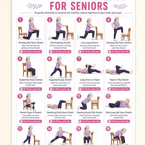 Può includere: Un poster didattico intitolato Hip Flexor Stretches for Seniors con 16 illustrazioni numerate di una persona con maglietta viola e pantaloni scuri che esegue vari esercizi di stretching usando una sedia di legno, con istruzioni testuali.