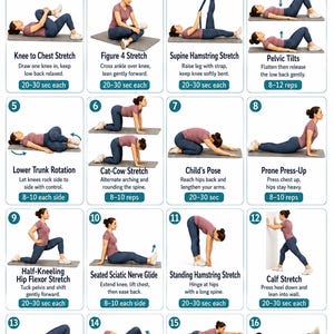 May include: A Sciatica Relief Stretching Chart featuring 16 numbered illustrations of a person in a mauve shirt and blue leggings performing various exercises, with text instructions and repetition counts for each movement on a white background.