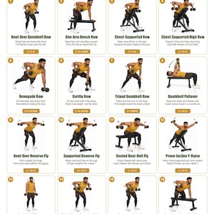 Puede incluir: Un póster instructivo titulado Dumbbell Back Workout for Men que presenta 16 ilustraciones de ejercicios numeradas. Cada panel muestra a una persona realizando un movimiento específico con mancuernas, incluyendo remos, pullovers y elevaciones, con instrucciones de texto y series.