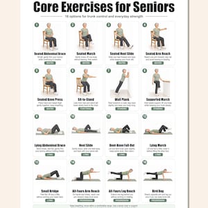 May include: A white instructional poster titled Core Exercises for Seniors featuring 16 numbered illustrations of a person performing various physical movements. Each section includes a title, brief instructions, and a category label for seated, standing, lying, or progression exercises.