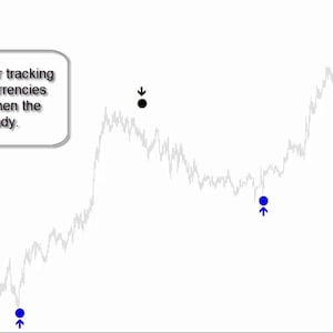 May include: A computer screen displaying a financial trading interface. The interface shows currency pairs, charts, and real-time data. Text on the screen reads "Software allows for tracking ALL the major currencies and join them when the market is ready."