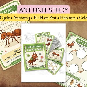 May include: An educational ant unit study activity set featuring a central activity book titled Ant Life Cycle, surrounded by printable worksheets with illustrations of ants, life cycle diagrams, and anatomy labeling tasks in green and cream colors.