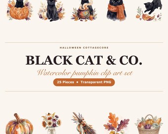 Czarny kot, dynia, akwarelowy clipart, Halloween Cottagecore, czarownica, kot, PNG (natychmiastowe pobranie)