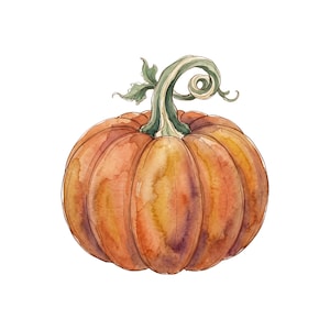 May include: A watercolor illustration of a round orange pumpkin with deep vertical ridges and a prominent, curved green stem. The pumpkin features blended shades of yellow, orange, and brown, with a detailed, swirling vine attached to the top.