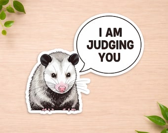 I Am Judging You Decal-I Am Judging You Decal - Sarcastic Animal Sticker - Cute Possum Vinyl Decal - Laptop Sticker - Funny Planner Sticker