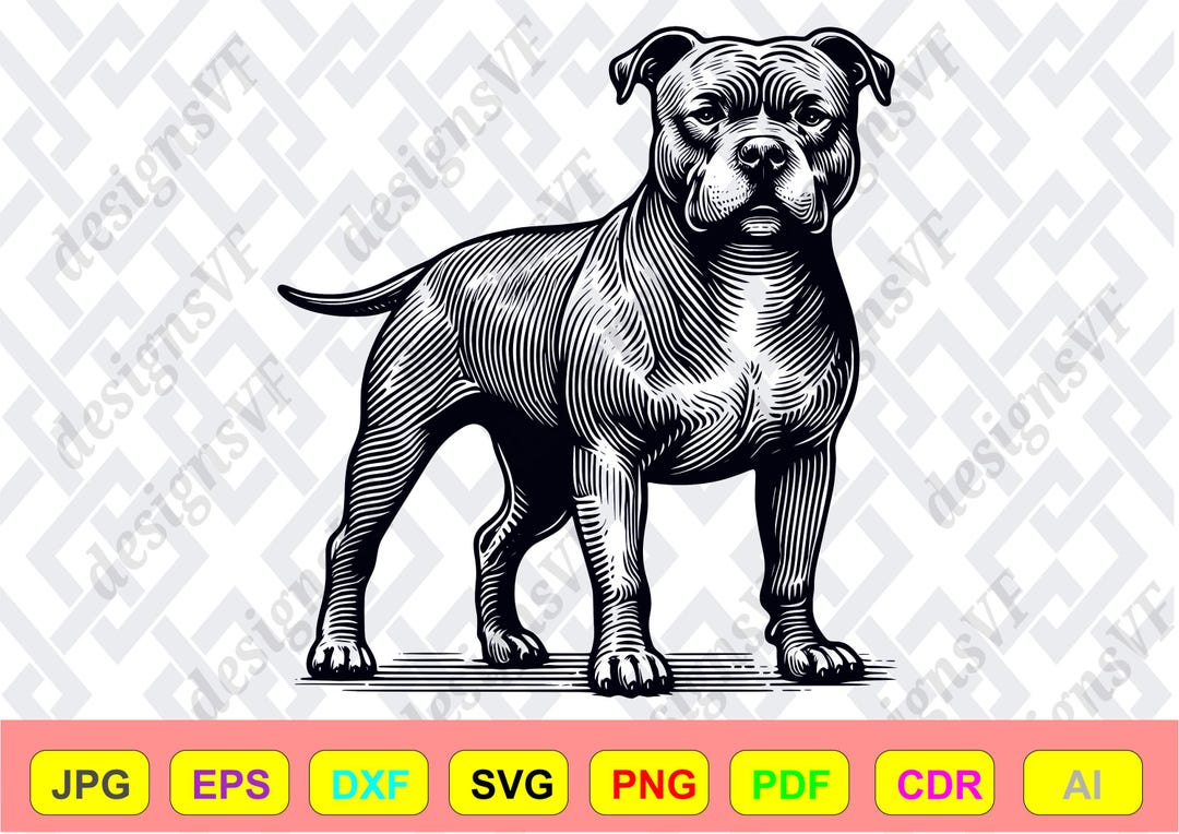 Pitbull Dog SVG | Silhouette Dogs | Cricut Design Dogg | Canva Pdf ...