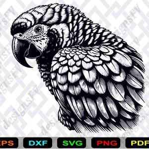 Könnte beinhalten: Schwarz-Weiß-Illustration eines Papageis, der sich auf Kopf und Oberkörper konzentriert. Die Federn des Papageis sind detailliert dargestellt. Das Bild enthält die Wörter "EPS", "DXF", "SVG", "PNG" und "PDF" am unteren Rand.