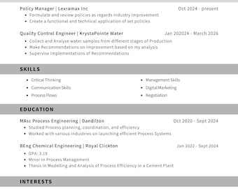 ATS Resume Template, Modern Executive CV, Canva Editable (Digital Download)