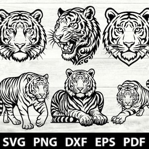 Puede incluir: Diseños de tigres en blanco y negro en varias poses, incluyendo retratos de cabeza y representaciones de cuerpo completo. La imagen incluye el texto "SVG PNG DXF EPS PDF".