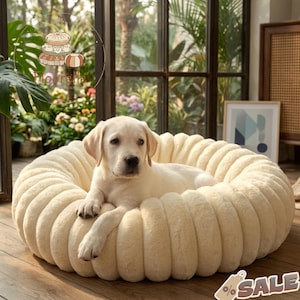 Könnte beinhalten: Ein cremefarbenes Hundebett mit geripptem Design. Ein hellfarbener Labrador-Welpe liegt in dem Bett und schaut in die Kamera. Das Bett steht auf einem Holzboden, mit einem Fenster und Grün im Hintergrund.