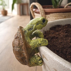 May include: A decorative turtle figurine in shades of green and brown, clinging to the edge of a planter. The turtle has a textured shell and detailed features, adding a whimsical touch to any indoor or outdoor space.
