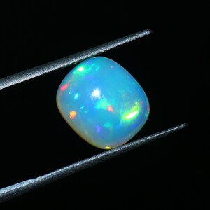 May include: A vibrant, cushion-cut opal gemstone, held by tweezers against a black background. The opal displays a milky, opalescent base colour with flashes of red, green, and blue, showcasing its play-of-colour. The gemstone is approximately 1.5 cm in size.