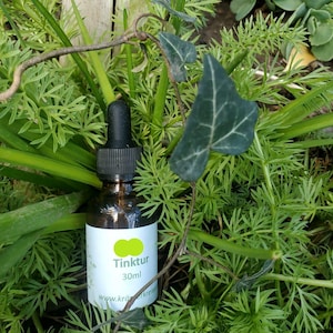 Peut inclure: Une bouteille de teinture en verre brun avec un compte-gouttes noir, étiquetée "Tinktur 30ml" en blanc, est posée au milieu d'un feuillage vert. La bouteille est entourée de diverses plantes vertes, dont du lierre.
