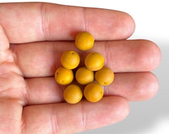 Perles de verre tchèque rondes jaune ocre mate, fourniture de fabrication de bijoux DIY