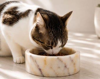 Calacatta Yellow Marble Pet Bowl | Natural Stone Cat & Dog Bowl