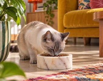 Calacatta gul marmorskål för husdjur | Skål för katt och hund i natursten