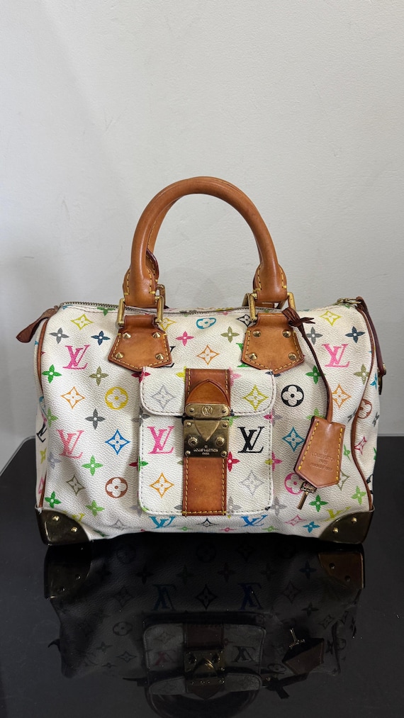Vintage Louis Vuitton 30 Speedy Multicolor Bag - Etsy