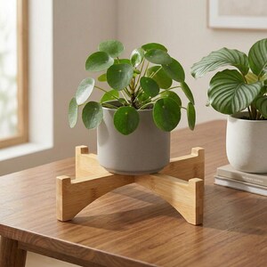 tall pot plant H Potter Planter with Round Top main image 0