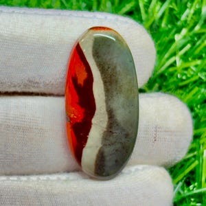Può includere: Una gemma ovale con una superficie lucida. La pietra presenta un sorprendente motivo cromatico, con sezioni di rosso intenso, bianco e grigio. La gemma è tenuta su uno sfondo di erba verde.