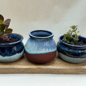 May include: Three ceramic planters arranged on a rectangular wooden tray. Two planters feature a deep blue and white drip glaze with small green succulents. The centre planter has a light blue upper section and a textured reddish-brown base.