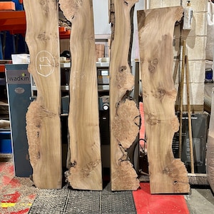 Burr Elm Live Edge Wood Slab: Ugnstorkad, naturlig karaktär (provpaket) bild 10