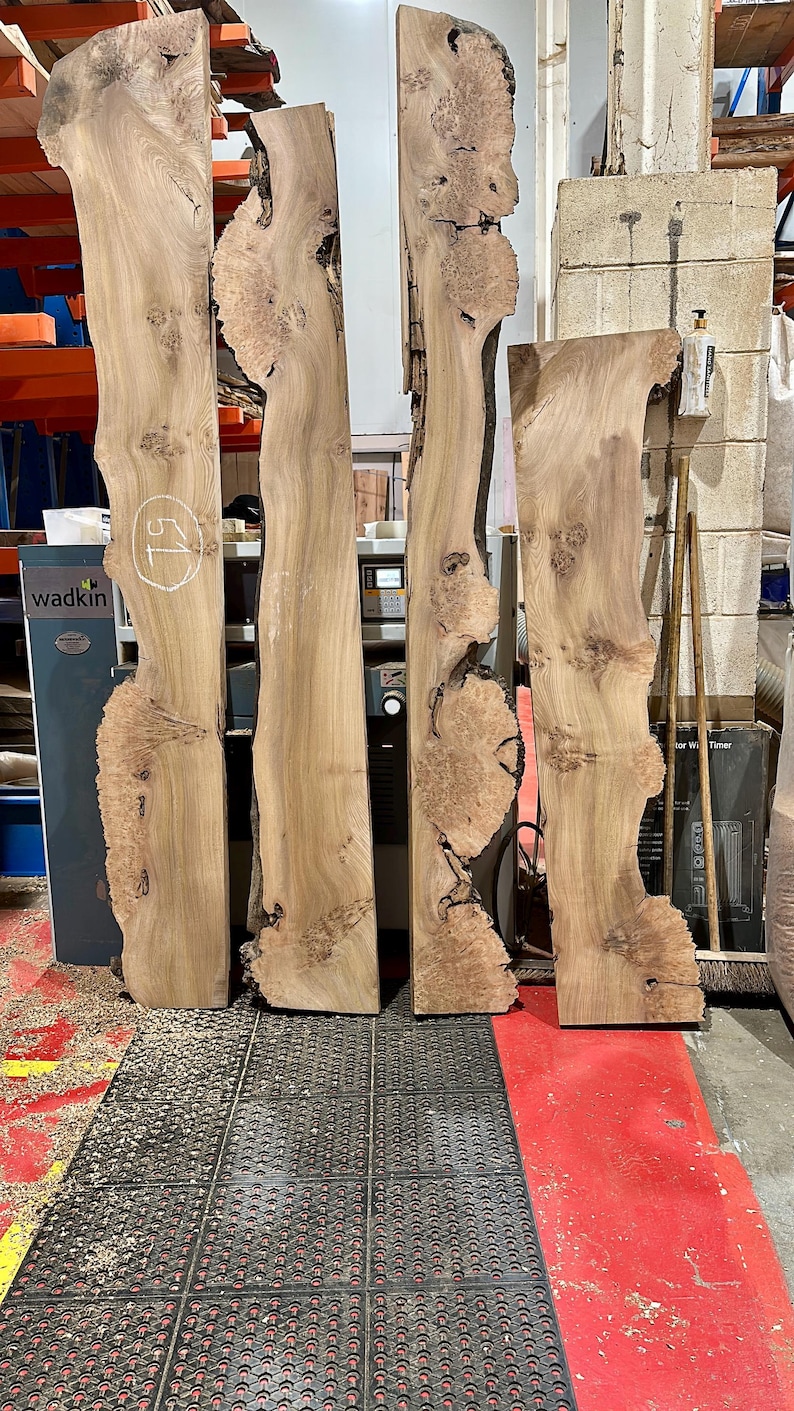 Burr Elm Live Edge Wood Slab: Ugnstorkad, naturlig karaktär (provpaket) bild 10